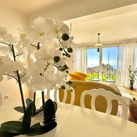 A Velha Casa Caboz ポンタ・ド・ソル